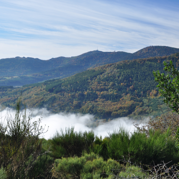 Picture of Pilat Regional Natural Park
