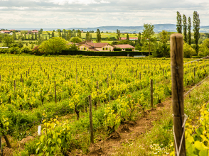 ©Lois Nagir/Domaine de Prapin