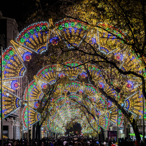 Artiste : Faniuolo / Photographe : ©Brice Robert